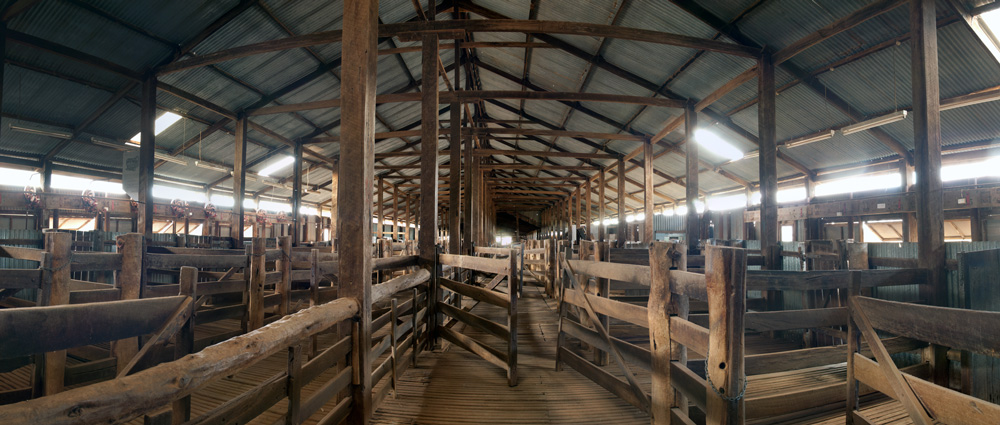 Balranald NSW | Woolshed. Panorama (image stitching)