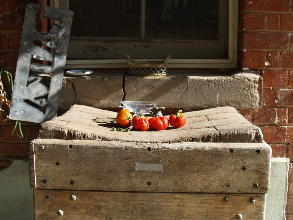 Pika Station NSW | Tomatoes in the sun