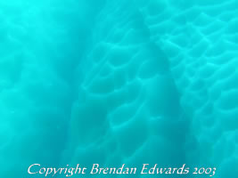 Ice Bergs have sculptured textures underwater
