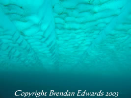 The Wall to Infinity.  Taken at 25 metres and looking down into the depths