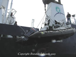 The Zodiacs take you to the dives sites and are lowered off the side of the ship by crane